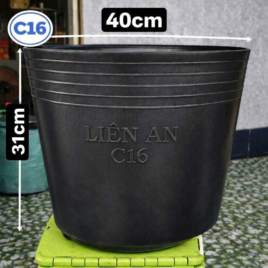 Chậu Nhựa C16 Liên An 40x31cm. Chậu Trồng Cây Kiểng, Cây Giống