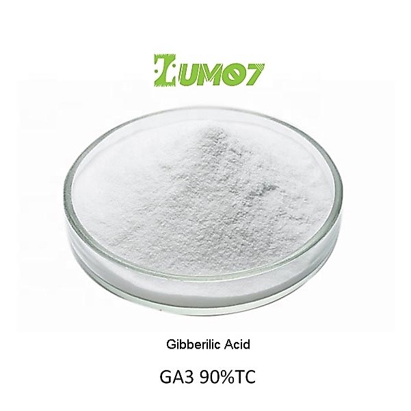 GA3 90% nguyên chất_ Siêu Kích Thích Sinh Trưởng 50g