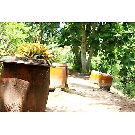 Khạp Da Bò – Khạp 40L - Lu Gạo | Khạp Trồng Sen | Làm Mắm | Đựng Nước – Lu Miền Tây