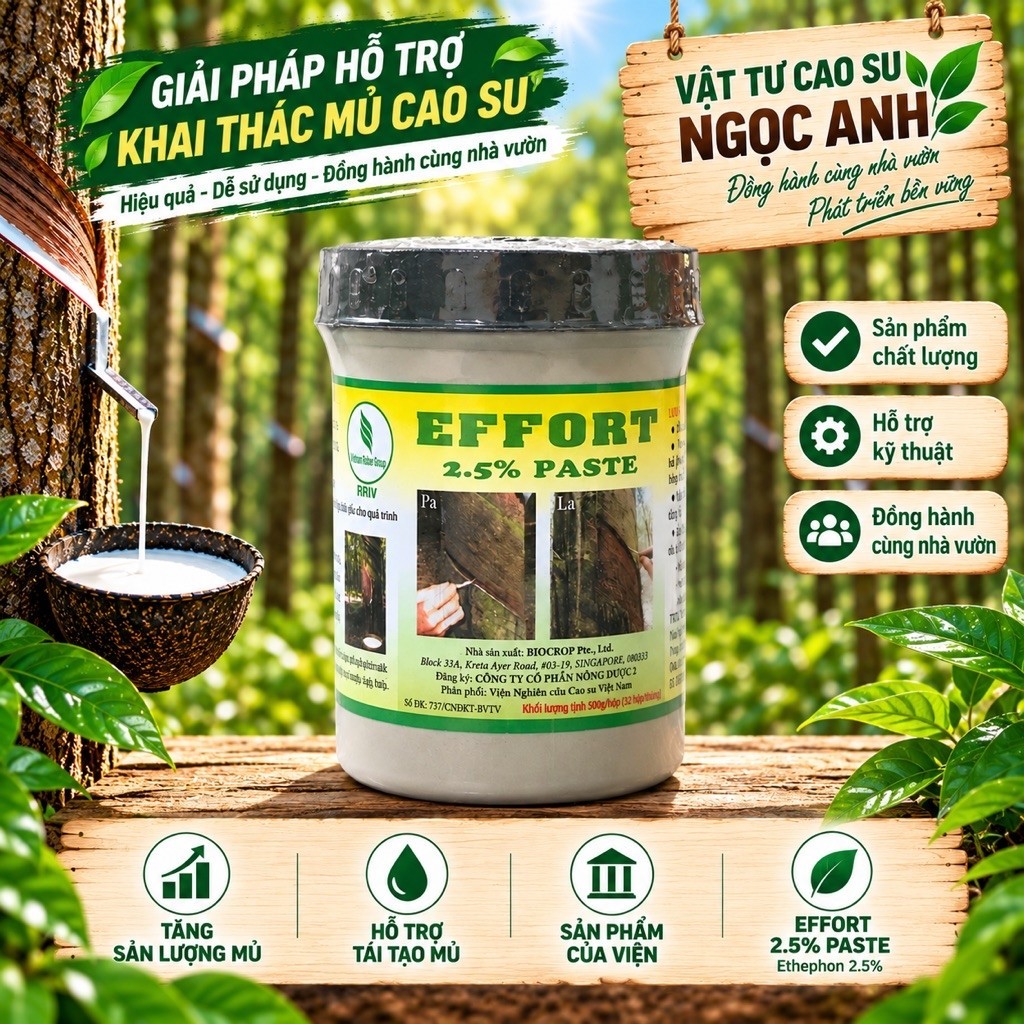 EFFORT 2.5% PASTE – KÍCH THÍCH MỦ CAO SU