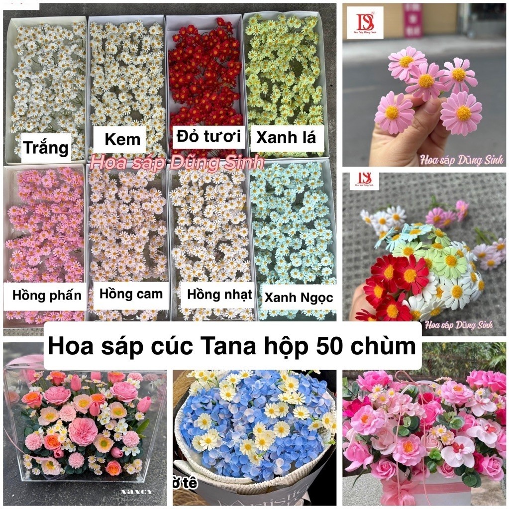 H333 ( Hộp 50 chùm ) Hoa cúc Tana sáp, hoa sáp cao cấp, hoa sáp thơm cắm bó hoa, giỏ hoa, lãng hoa t