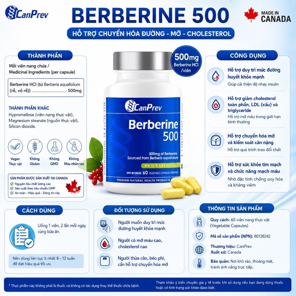 Viên nang CanPrev Berberine 500mg, hỗ trợ chuyển hóa glucose, thuần chay, dùng trong 30 ngày.