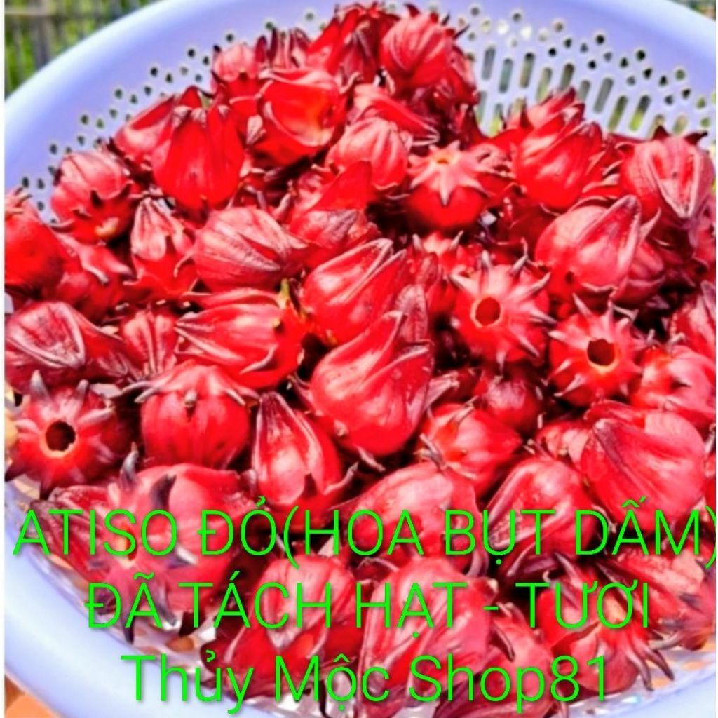 1 KG ATISO ĐỎ (BỤP GIẤM) TƯƠI NGON ĐÃ RỬA SẠCH SẼ