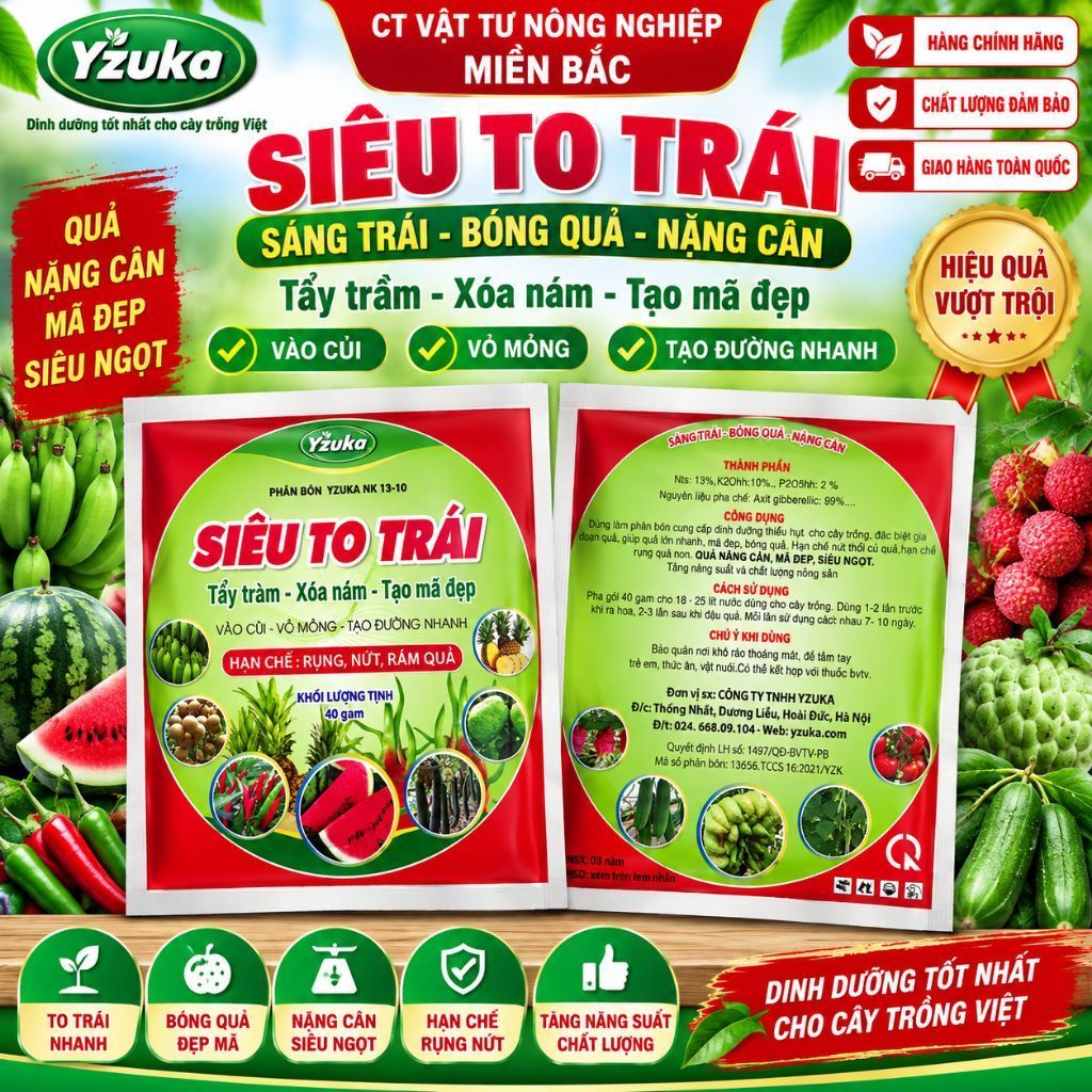 combo 5 gói-🍊 SIÊU TO TRÁI YZUKA – SÁNG TRÁI • BÓNG QUẢ • NẶNG CÂN Tẩy trầm – Xóa nám – Tạo mã đẹp •