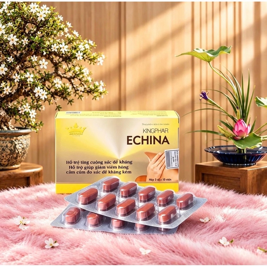 Echina Kingphar 1 - Hộp 30 viên  – Tăng cường miễn dịch, giảm ho, cảm cúm