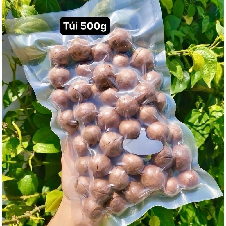 [ẢNH THẬT] 500Gr - 1KG Hạt Macca Đắk Lắk (Lô Mới) Sấy Nứt Vỏ Size TRUNG Tặng Kèm Khui Hạt (Túi Zíp &