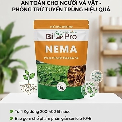 Chế Phẩm NEMA Dalat Hasfarm -gói 1kg- Hỗ trợ phòng trừ tuyến trùng
