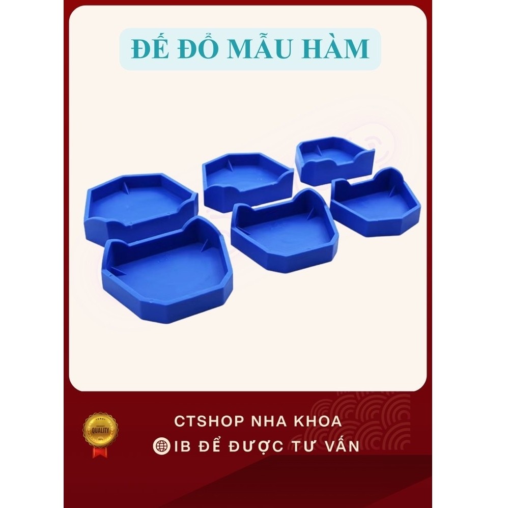 ĐẾ CAO SU ĐỔ MẪU HÀM THẠCH CAO- 1 BỘ 6 CÁI
