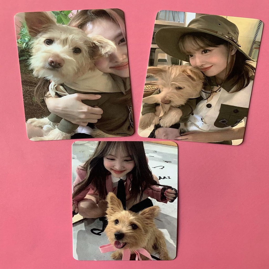 twice Lin Nayeon Chuỗi sách về nhà khoa học chó cưng Khuôn mặt thỏ siêu dễ thương Lin Nayeon Thẻ nhỏ