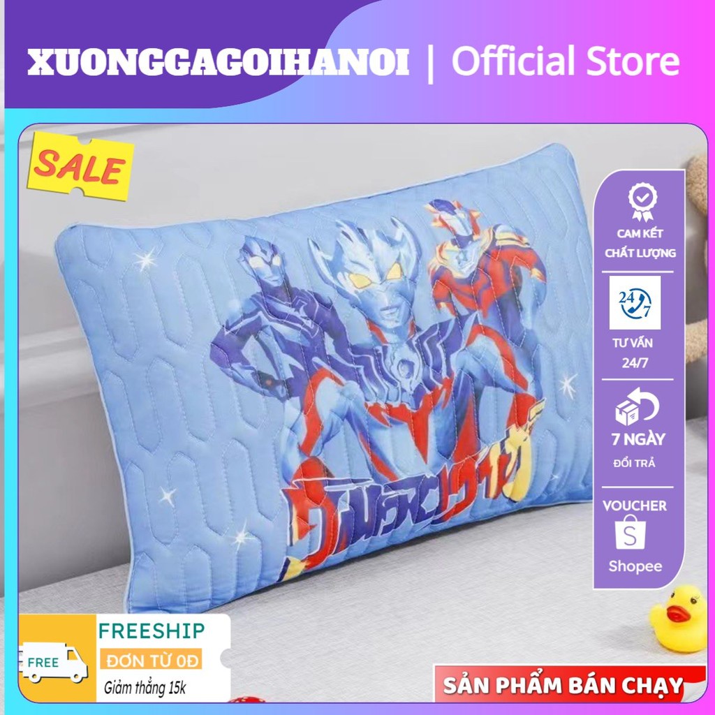 Vỏ gối cao su/ áo gối cao su kích thước 30x50  người máy- xuonggagoihanoi
