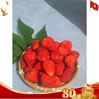  Dâu Tây Sấy Thăng Hoa – Sấy Giòn – Chua Tự Nhiên – Không Đường – Đồ Ăn Vặt Ngon Healthy 