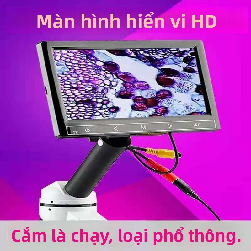 Màn hình hiển thị điện tử cho kính hiển vi sinh học5Inch7Inch8Inch10Inch12màn hình inch