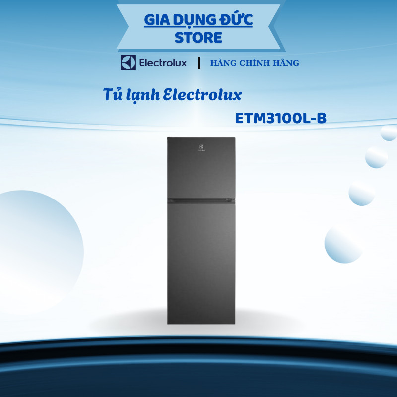 Tủ lạnh Electrolux ETM3100L-B, Công nghệ Inverter tiết kiệm điện hiệu quả - HP