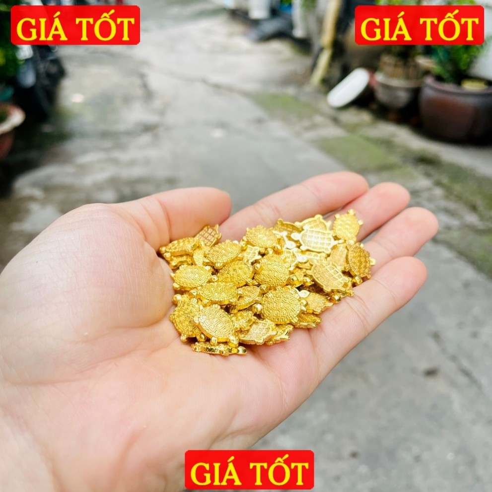 [LOẠI 1] 10 Con Rùa Tiền Vàng Phong Thủy, Rùa Vàng Mini Trang Trí