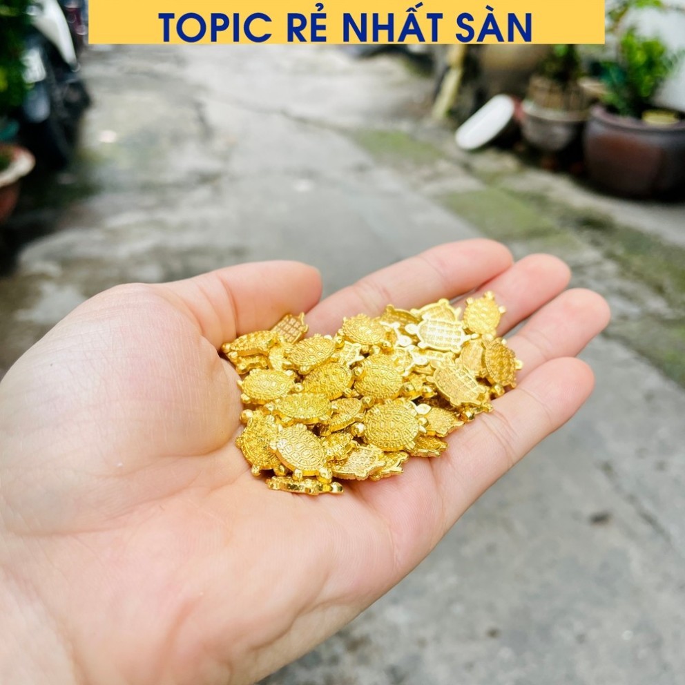 [hàng chuẩn] 10 Con Rùa Tiền Vàng Phong Thủy, Rùa Vàng Mini Trang Trí