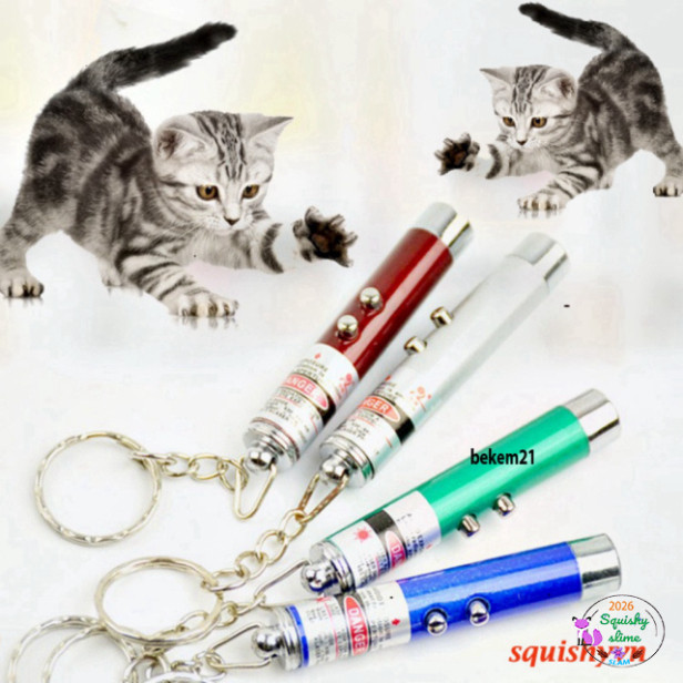 Bút Chiếu Laser 4mW 2 trong 1 + Đèn LED Chiếu Sáng cho Vật Nuôi - Đèn Laser Trêu Mèo và Chó