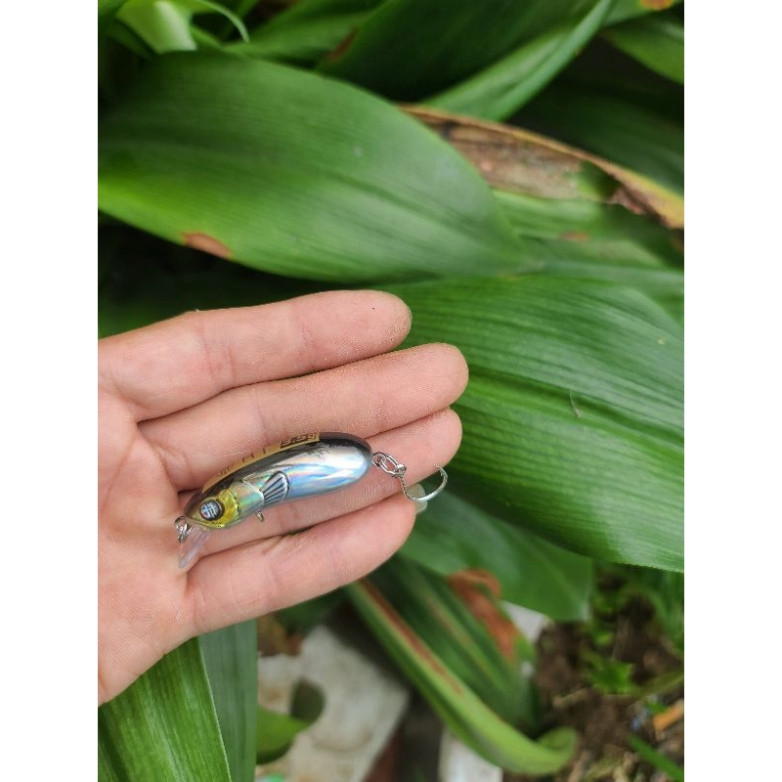 Cá Nhựa CC35 - CC40 hàng loại 1- Lưỡi Đơn Mustad Chất Lượng - CC35 - Dài 3.5cm - nặng 2.8g - CC40 - 