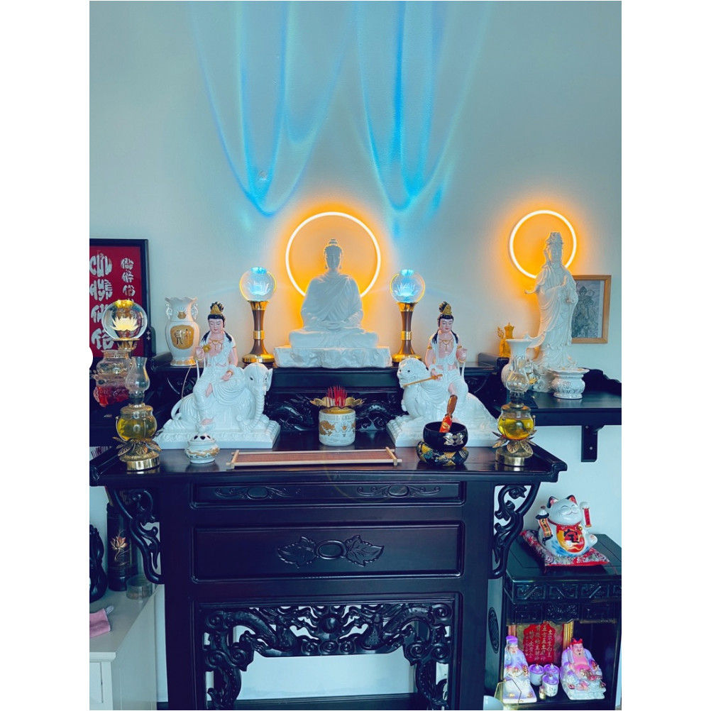 Vòng đèn neon led (30cm) kèm nguồn