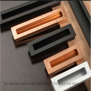 Tay nắm  âm cánh Vickini