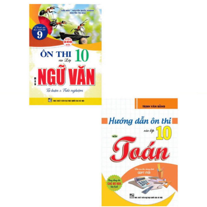 Sách Combo Ôn Thi Vào Lớp 10 Môn Ngữ Văn - Tự Luận Và Trắc Nghiệm + Hướng Dẫn Ôn Thi Vào Lớp 10 Môn 