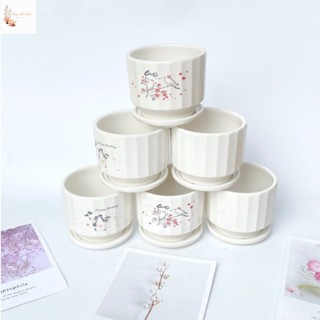  Chậu sứ có đĩa lót sẵn chiều cao 11cm mẫu chậu đa dạng phù hợp trồng cây để bàn . 