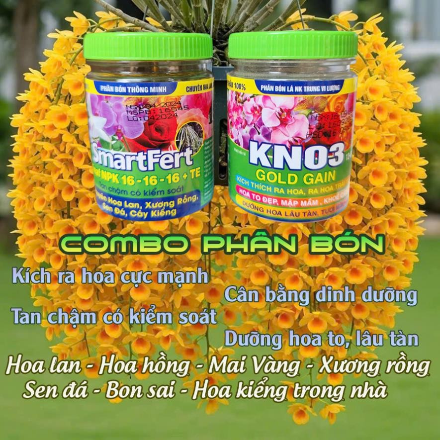 Phân Bón Kích Hoa Cực Mạnh KNO3 Gold Gain, Phân Bón Lá Trung Vi Lượng KNO3 Gold Gain