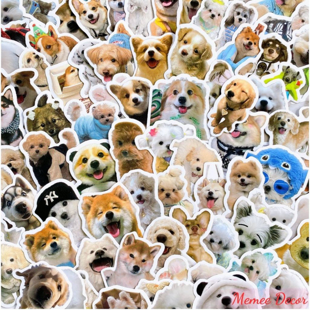 Set 50 sticker meme mèo và 50 sticker meme chó cute hình dán đáng yêu dùng trang trí