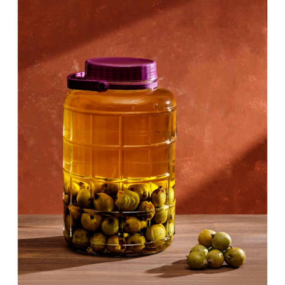 Bình ngâm sọc vuông quai tím thủy tinh LOTUS GLASS VTC098 trong suốt cao cấp