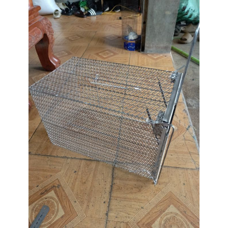 Lồng bẫy mèo và thú lớn, bẫy chuột loại to chuyên dụng cho động vật lớn và săn bắt hiệu quả.