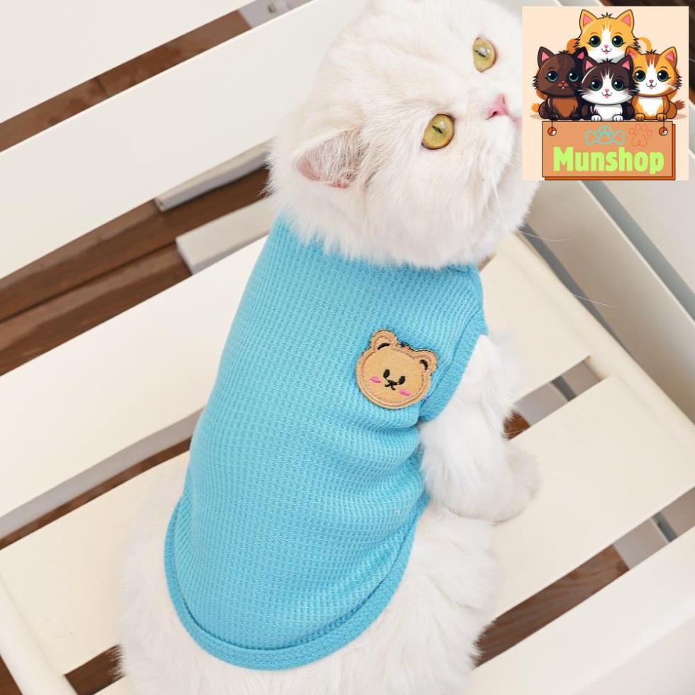 Áo thun dành cho chó mèo mặt gấu-áo thun gấu cho thú cưng Munshop
