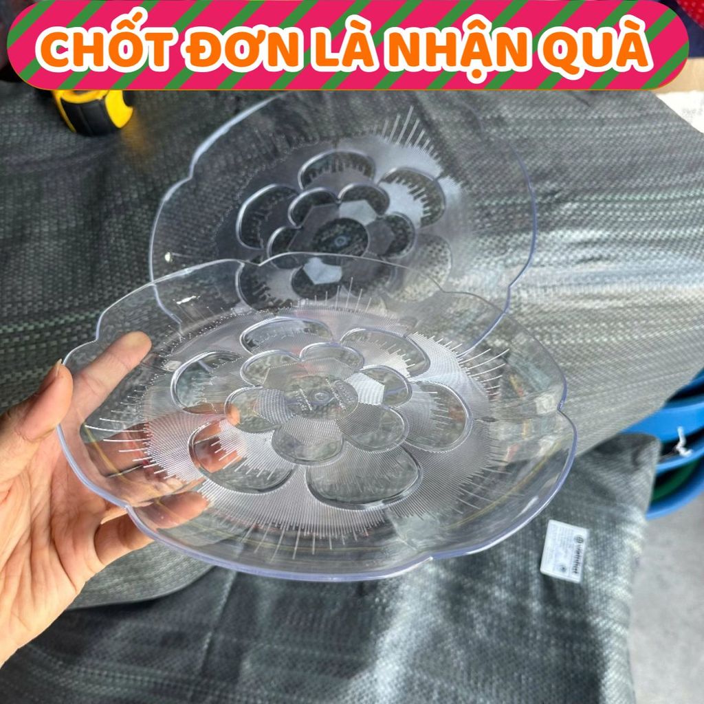 (100% chính hãng) thanh lý đĩa nhựa HOKORI trong suốt. đĩa nhựa cao cấp hàng loại 1, đĩa nhựa cao cấ