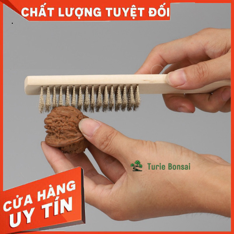 Bàn Chải Sợi Mạ Đồng Cán Gỗ Chà Cọ lũa đánh lũa bonsai đánh bóng bề mặt Turie VIệt Nam