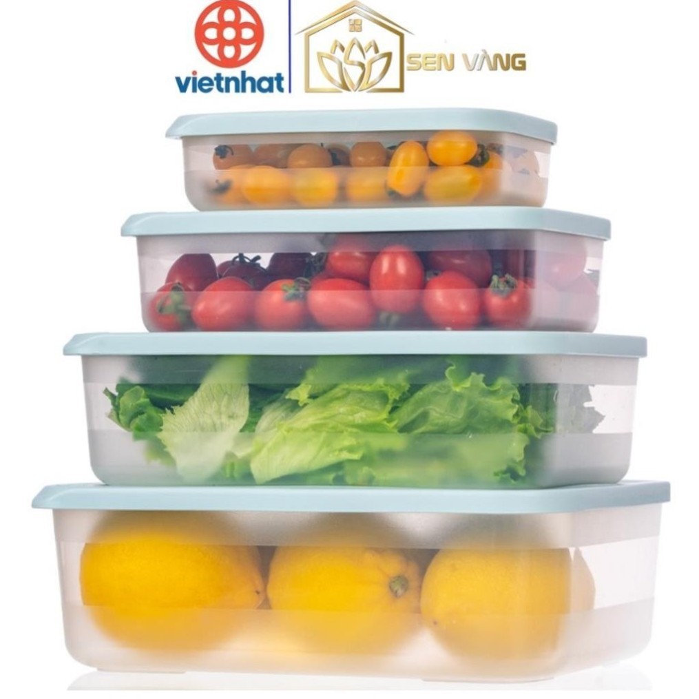 Combo 12 hộp thực phẩm chữ nhật 700ml, 1500ml, 2500ml, 3600ml Hokori (MS:6596) Việt Nhật, Hộp bảo qu