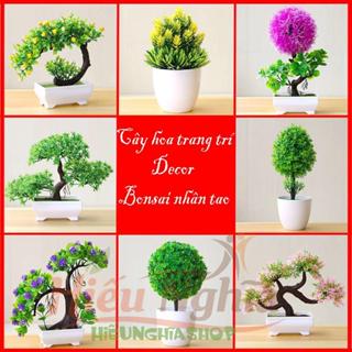  Chậu cây cảnh giả chậu bonsai để bàn decor phòng làm việc phòng khách bàn học quà tặng quà lưu niệm 