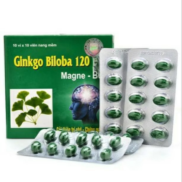Ginkgo Biloba 120 Bổ Sung Dưỡng Chất Cho Não hoạt huyết dưỡng não tăng cường lưu thông máu não Ginkg