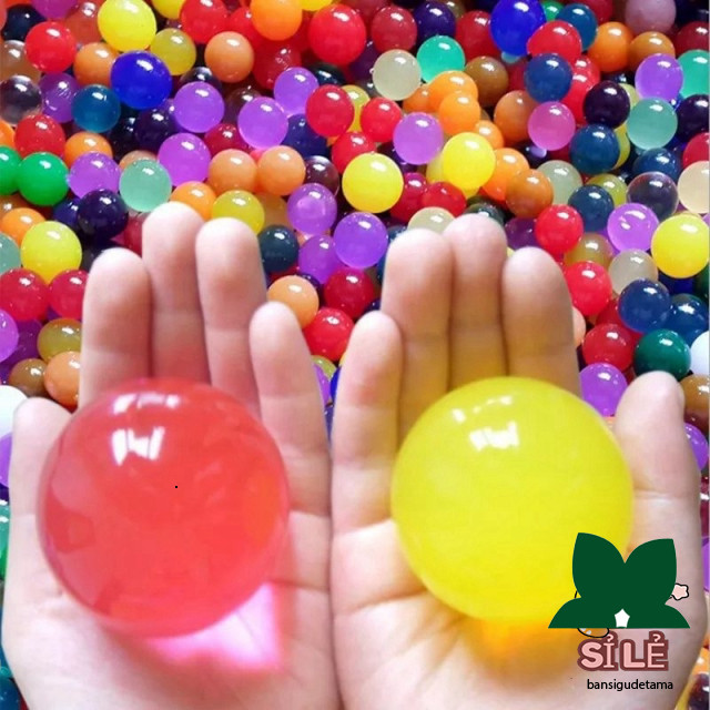 HẠT NỞ / HẠT TINH THỂ KHỦNG LỒ 6-8MM CHƯA NỞ ( NỞ TỐI ĐA 3-4CM ) hạt tinh thể