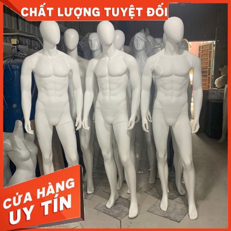 manocanh nam tạo dáng đầu trứng