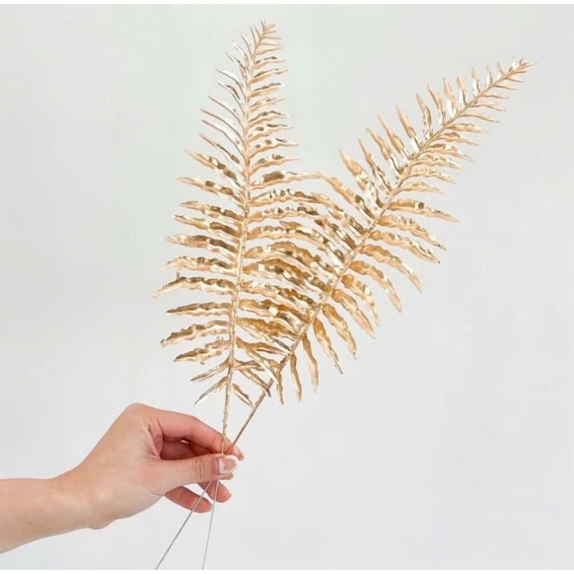 Cành DƯƠNG XỈ ĐỒNG deco trang trí tháp lễ , TẾT  2026 nào các nàng oi