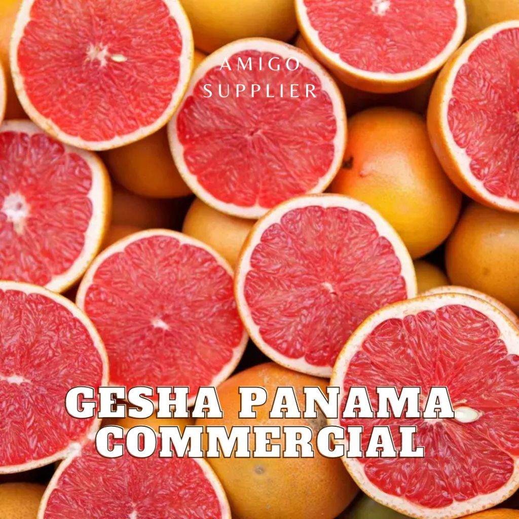 [CÓ HẠN] hạt rang cà phê gesha Panama