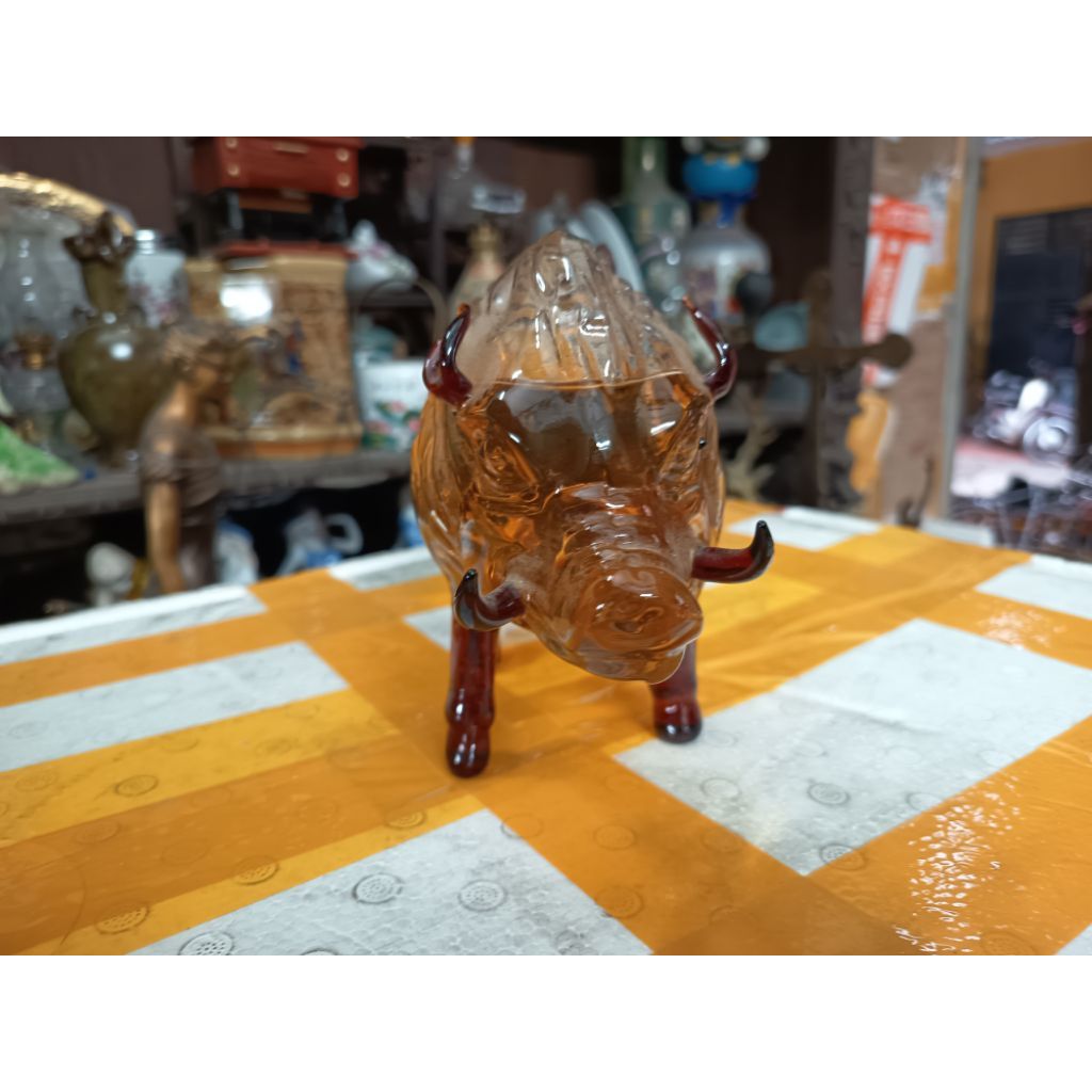 vỏ chai heo rừng