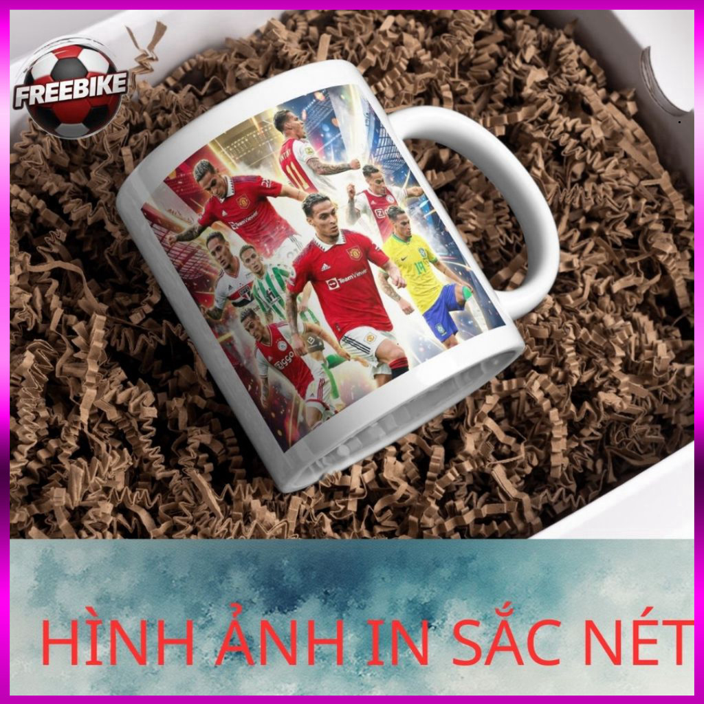 (SALE) LY SỨ IN CAO CẤP HÌNH ANTONY