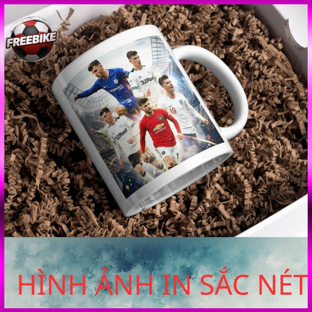 (SALE) LY SỨ IN CAO CẤP HÌNH MASON MOUNT