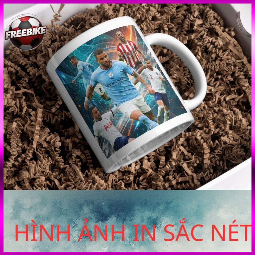 (SALE) LY SỨ IN CAO CẤP HÌNH KYLE WALKER