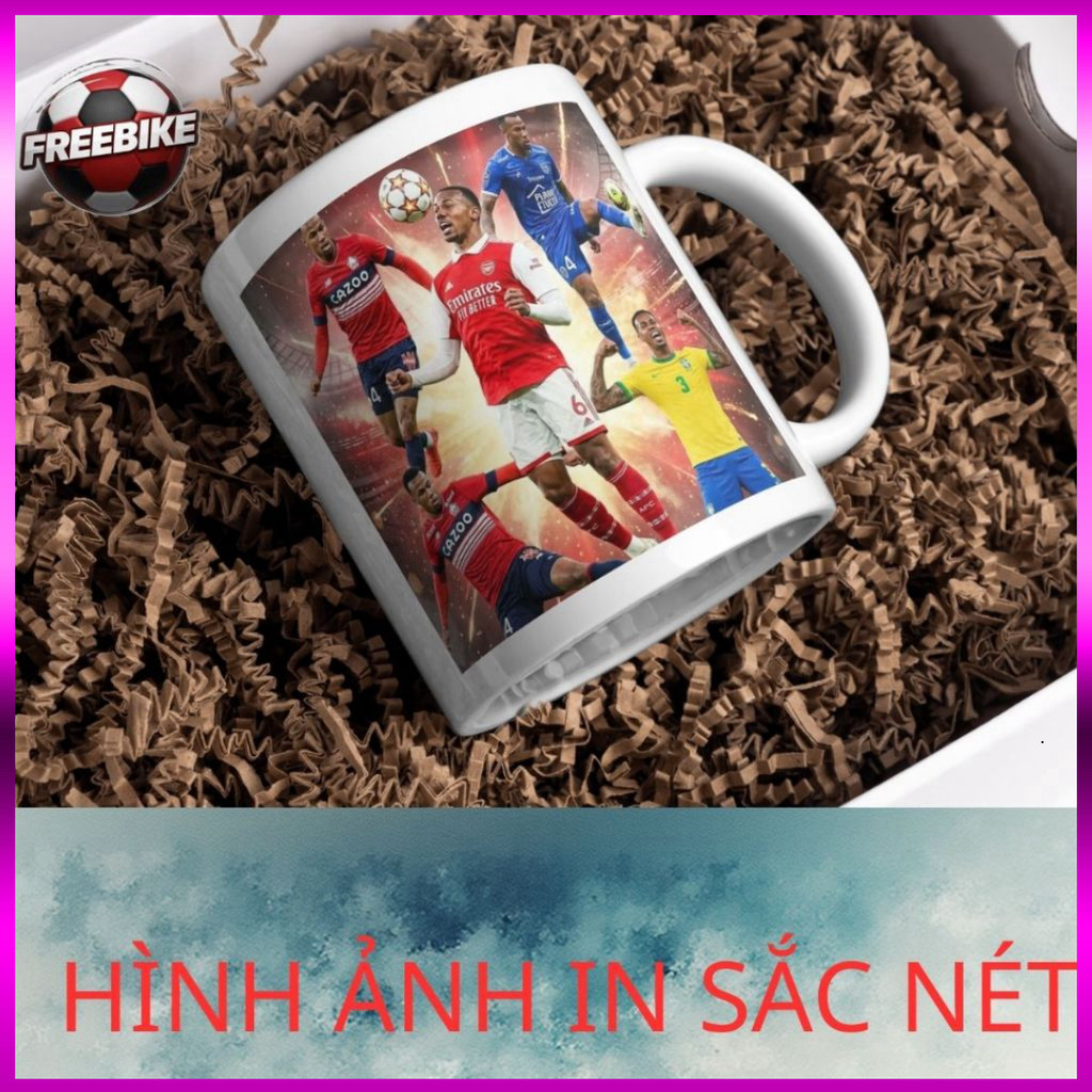 (SALE) LY SỨ IN CAO CẤP HÌNH GABRIEL MAGALHAES