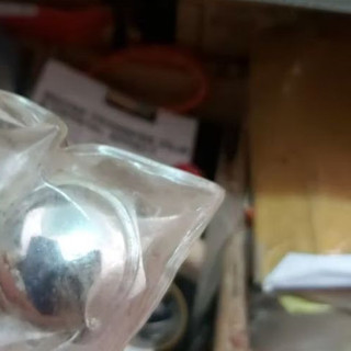 Ốc chảng ba 67 - ốc che nước