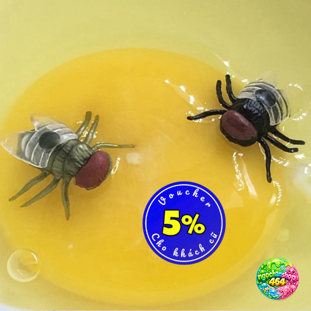 Ruồi Giả Không Mùi – Đồ Chơi Troll Bạn Bè Đáng Yêu