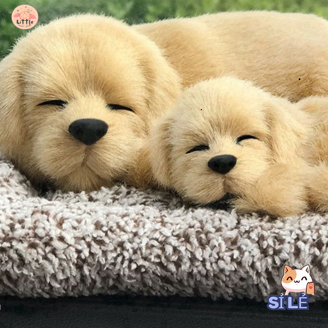 Gấu Bông Cún Đốm Đen Trắng Mẹ Con Chất Lượng 99%

hoặc 

Cún Đốm Đen Trắng Gấu Bông Mẹ Con Giả Lập 9