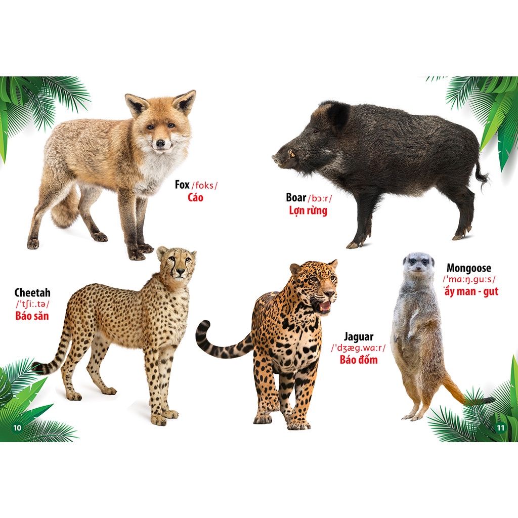 vn-11134202-23020-pc2rvdq8sunvdc