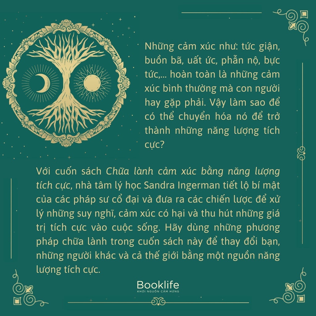 vn-11134202-23030-br821kwaifov7b