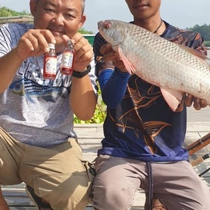 Mồi Câu Cá Tra,Hương Câu Cá TEE JUBU Cực Nhạy.